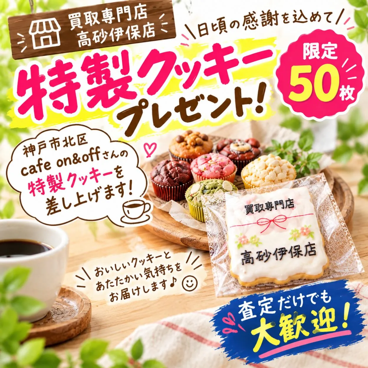 🎁【限定50枚！】🎁